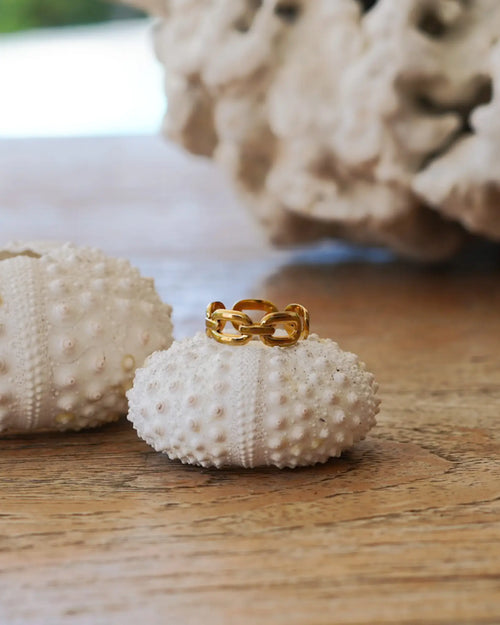 Bague Maya dorée en maillons plats, bijou ajustable en acier inoxydable de la marque réunionnaise de bijoux Maye-Mayé en France